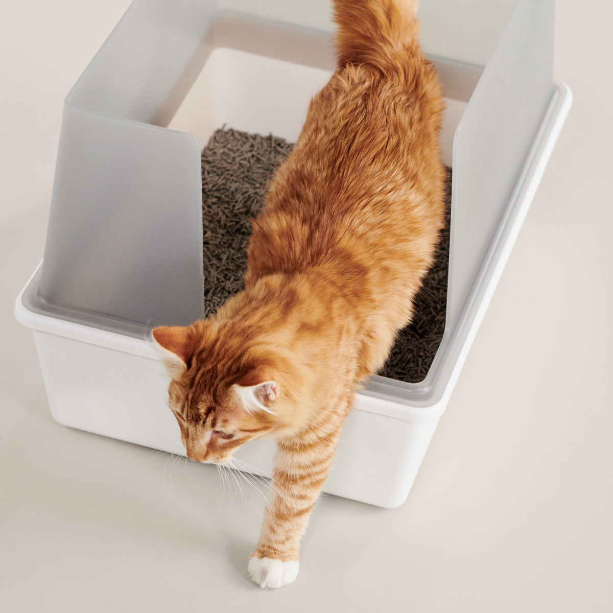 Enclosed Privacy Cat Litter Box